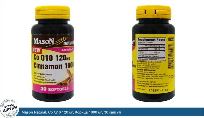 Mason Natural, Co Q10 120 мг, Корица 1000 мг, 30 капсул