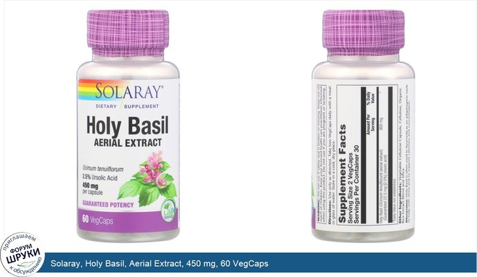Solaray, Holy Basil, Aerial Extract, 450 mg, 60 VegCaps