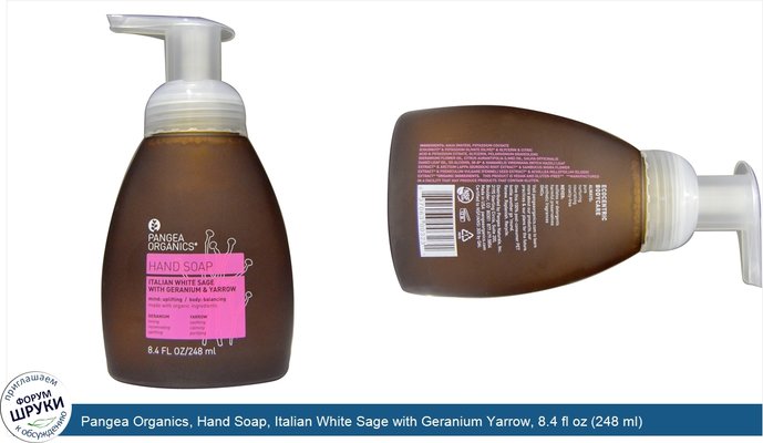 Pangea Organics, Hand Soap, Italian White Sage with Geranium Yarrow, 8.4 fl oz (248 ml)