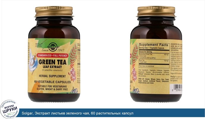 Solgar, Экстракт листьев зеленого чая, 60 растительных капсул