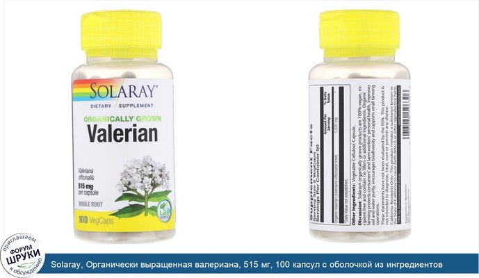 Solaray, Органически выращенная валериана, 515 мг, 100 капсул с оболочкой из ингредиентов растительного происхождения