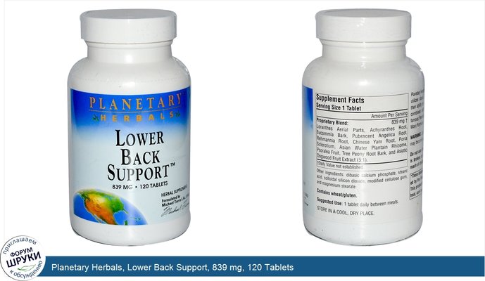 Planetary Herbals, Lower Back Support, 839 mg, 120 Tablets