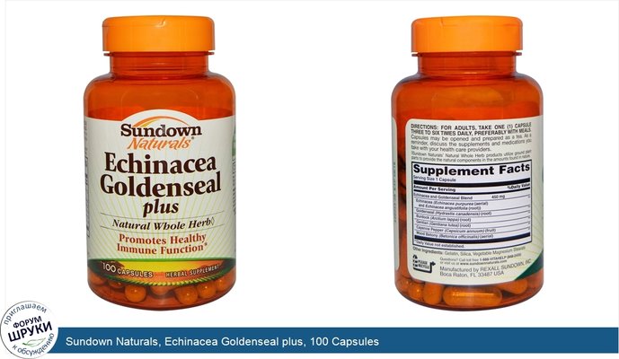 Sundown Naturals, Echinacea Goldenseal plus, 100 Capsules