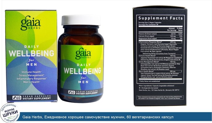 Gaia Herbs, Ежедневное хорошее самочувствие мужчин, 60 вегетарианских капсул