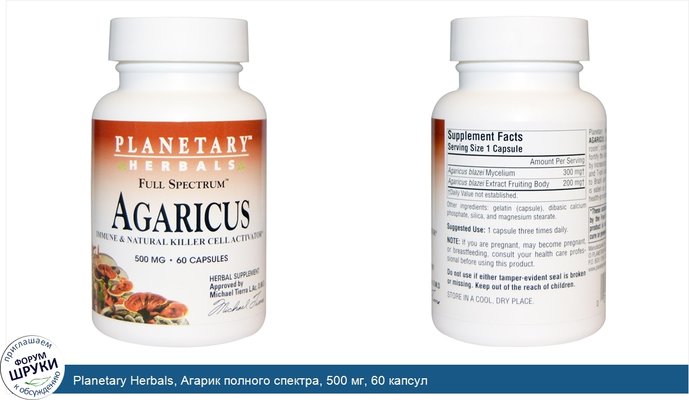 Planetary Herbals, Агарик полного спектра, 500 мг, 60 капсул