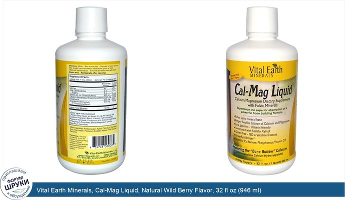 Vital Earth Minerals, Cal-Mag Liquid, Natural Wild Berry Flavor, 32 fl oz (946 ml)