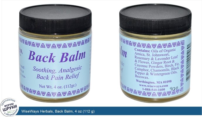 WiseWays Herbals, Back Balm, 4 oz (112 g)