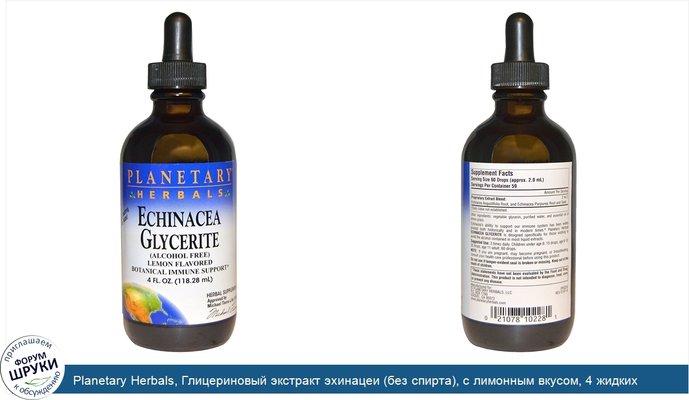 Planetary Herbals, Глицериновый экстракт эхинацеи (без спирта), с лимонным вкусом, 4 жидких унции (118,28 мл)