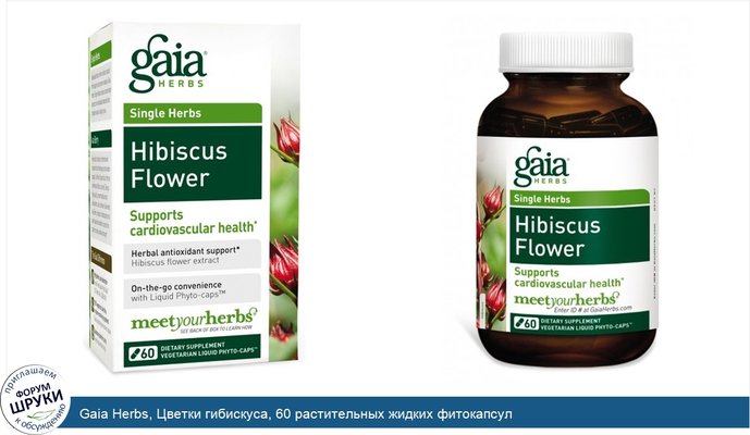Gaia Herbs, Цветки гибискуса, 60 растительных жидких фитокапсул
