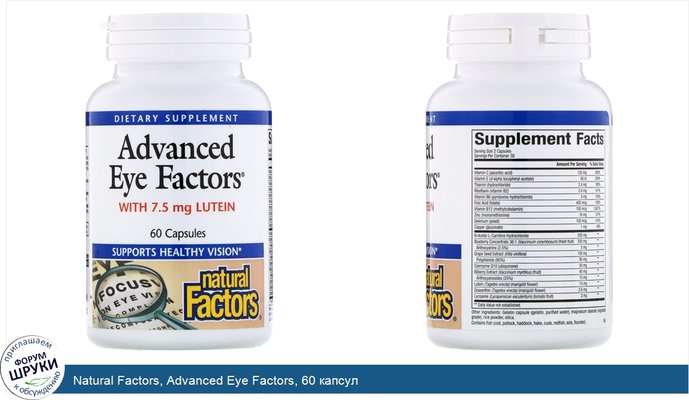 Natural Factors, Advanced Eye Factors, 60 капсул