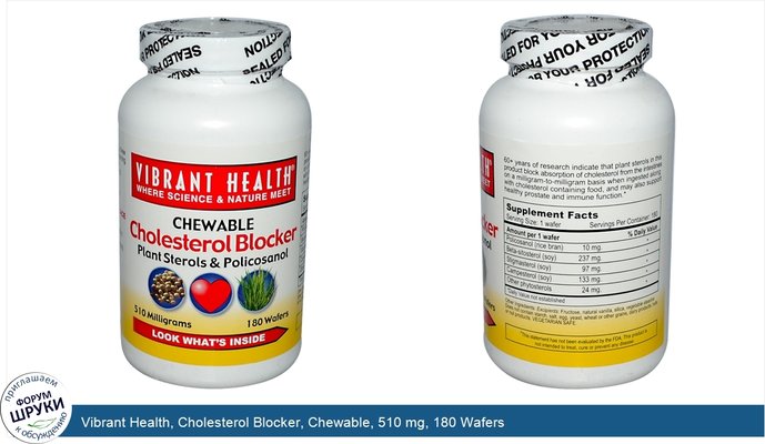 Vibrant Health, Cholesterol Blocker, Chewable, 510 mg, 180 Wafers