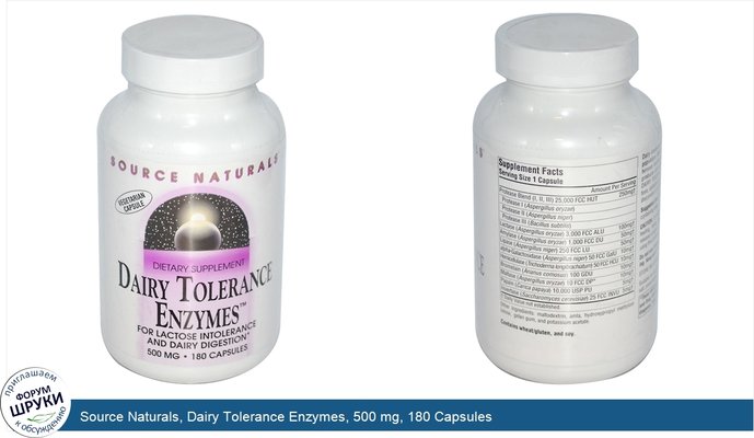 Source Naturals, Dairy Tolerance Enzymes, 500 mg, 180 Capsules
