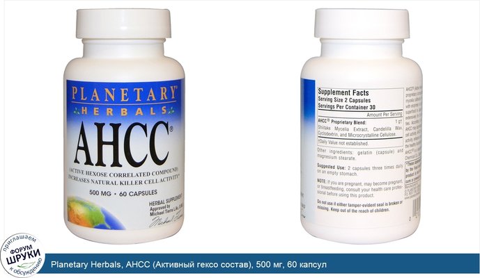 Planetary Herbals, AHCC (Активный гексо состав), 500 мг, 60 капсул