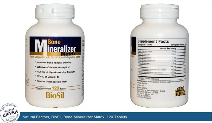Natural Factors, BioSil, Bone Mineralizer Matrix, 120 Tablets