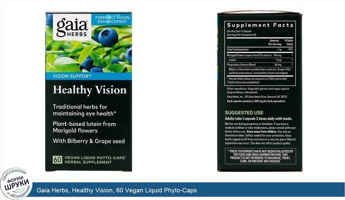 Gaia Herbs, Healthy Vision, 60 Vegan Liquid Phyto-Caps