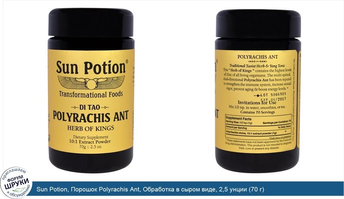 Sun Potion, Порошок Polyrachis Ant, Обработка в сыром виде, 2,5 унции (70 г)