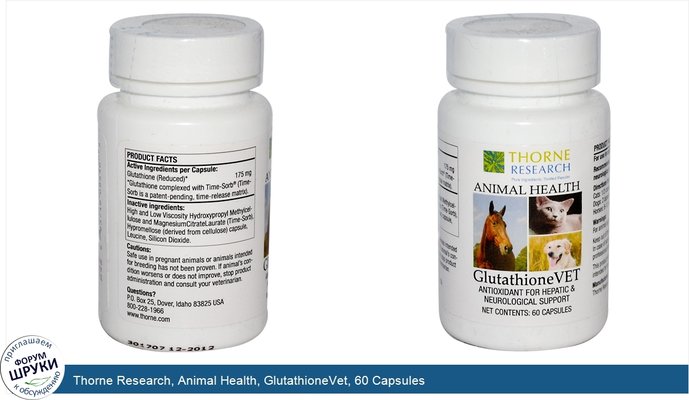 Thorne Research, Animal Health, GlutathioneVet, 60 Capsules