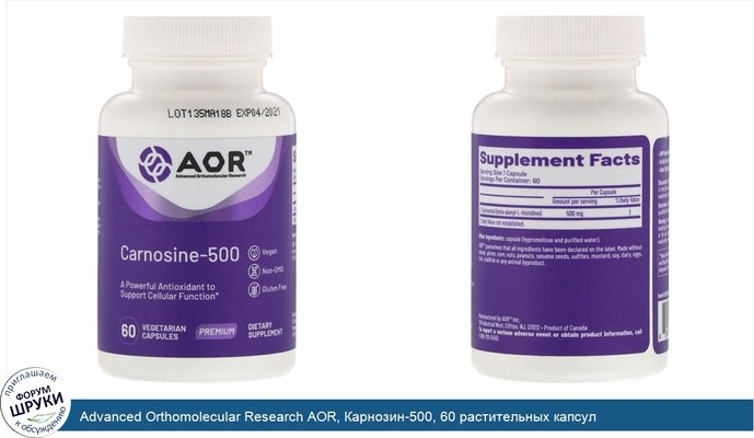 Advanced Orthomolecular Research AOR, Карнозин-500, 60 растительных капсул