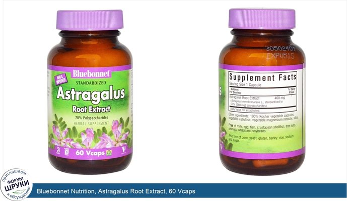 Bluebonnet Nutrition, Astragalus Root Extract, 60 Vcaps