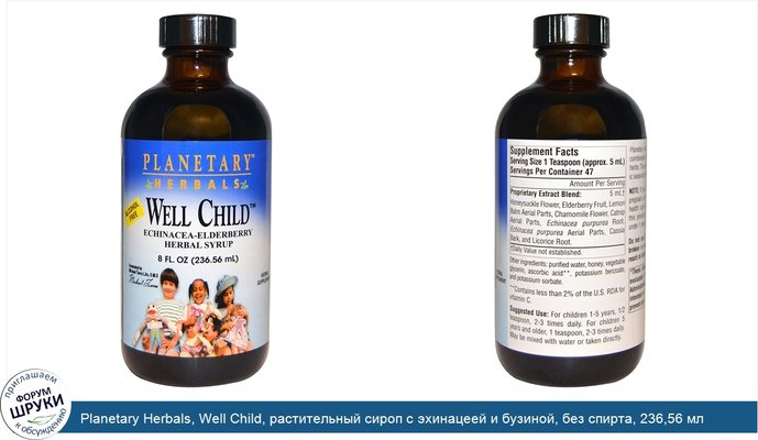 Planetary Herbals, Well Child, растительный сироп с эхинацеей и бузиной, без спирта, 236,56 мл