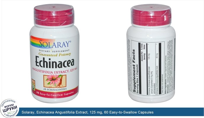Solaray, Echinacea Angustifolia Extract, 125 mg, 60 Easy-to-Swallow Capsules