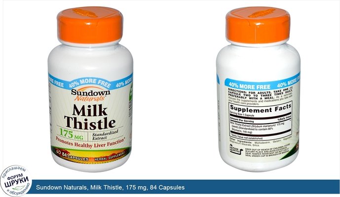 Sundown Naturals, Milk Thistle, 175 mg, 84 Capsules