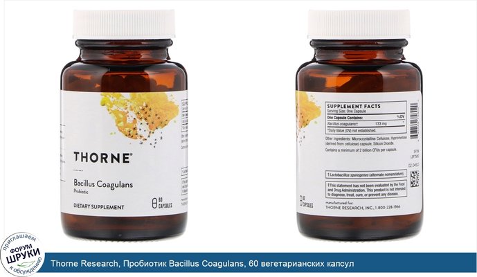 Thorne Research, Пробиотик Bacillus Coagulans, 60 вегетарианских капсул