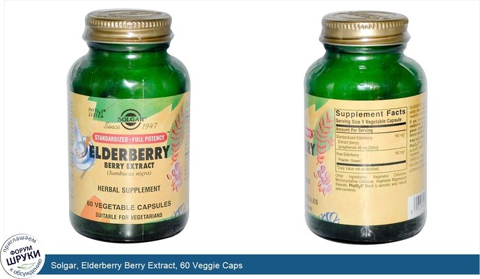 Solgar, Elderberry Berry Extract, 60 Veggie Caps