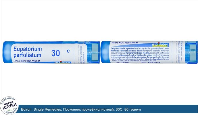 Boiron, Single Remedies, Посконник пронзённолистный, 30C, 80 гранул