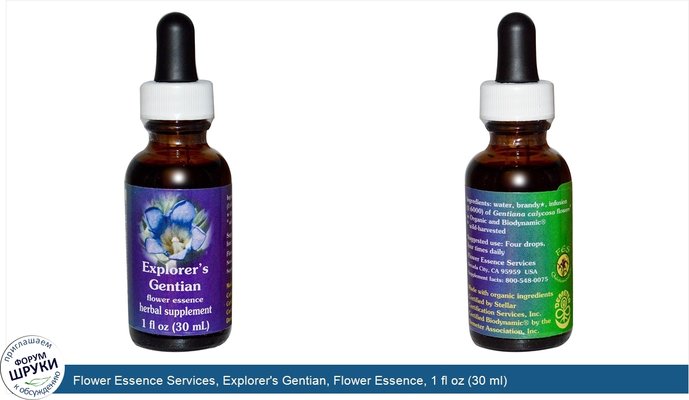 Flower Essence Services, Explorer\'s Gentian, Flower Essence, 1 fl oz (30 ml)