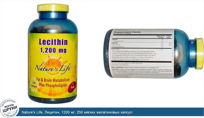 Nature\'s Life, Лецитин, 1200 мг, 250 мягких желатиновых капсул