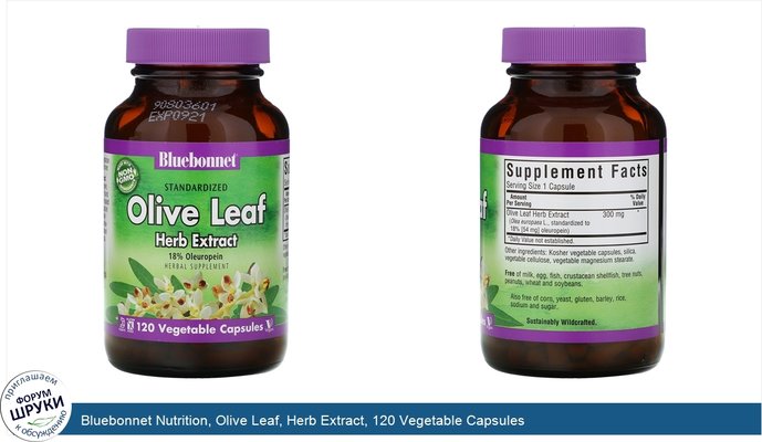 Bluebonnet Nutrition, Olive Leaf, Herb Extract, 120 Vegetable Capsules