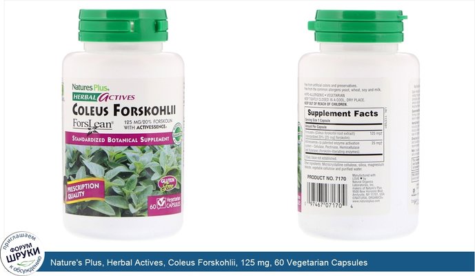 Nature\'s Plus, Herbal Actives, Coleus Forskohlii, 125 mg, 60 Vegetarian Capsules