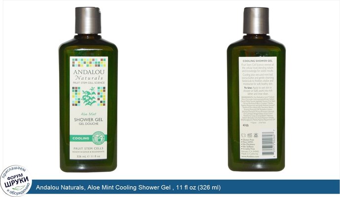 Andalou Naturals, Aloe Mint Cooling Shower Gel , 11 fl oz (326 ml)