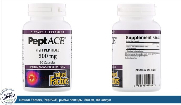 Natural Factors, PeptACE, рыбьи пептиды, 500 мг, 90 капсул