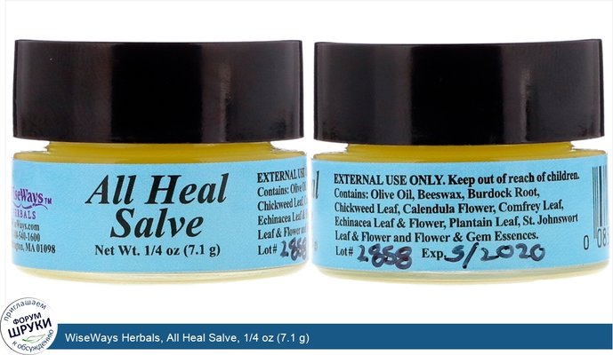 WiseWays Herbals, All Heal Salve, 1/4 oz (7.1 g)