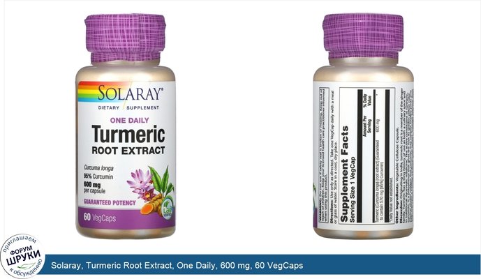 Solaray, Turmeric Root Extract, One Daily, 600 mg, 60 VegCaps