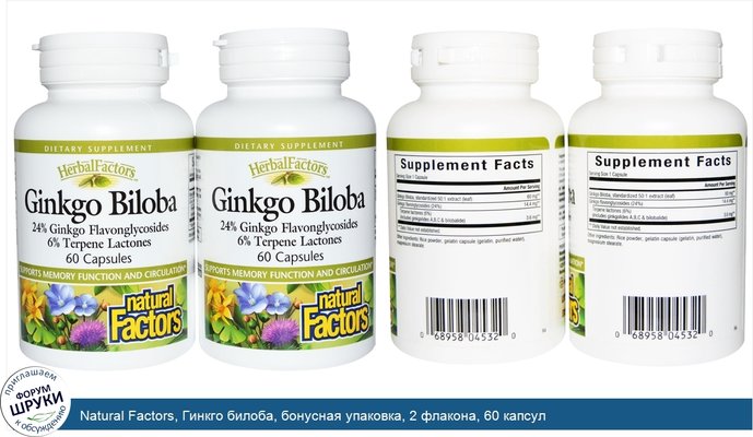 Natural Factors, Гинкго билоба, бонусная упаковка, 2 флакона, 60 капсул