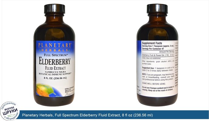 Planetary Herbals, Full Spectrum Elderberry Fluid Extract, 8 fl oz (236.56 ml)