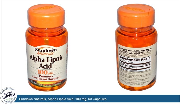 Sundown Naturals, Alpha Lipoic Acid, 100 mg, 60 Capsules