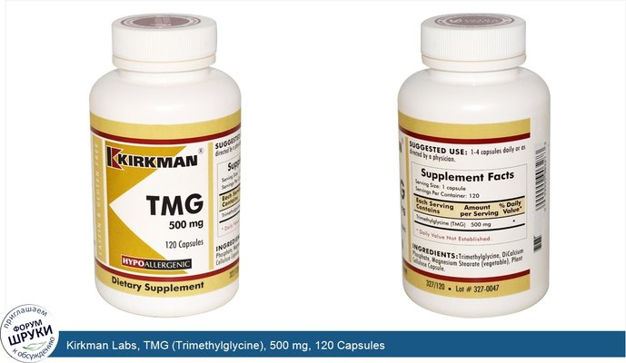 Kirkman Labs, TMG (Trimethylglycine), 500 mg, 120 Capsules