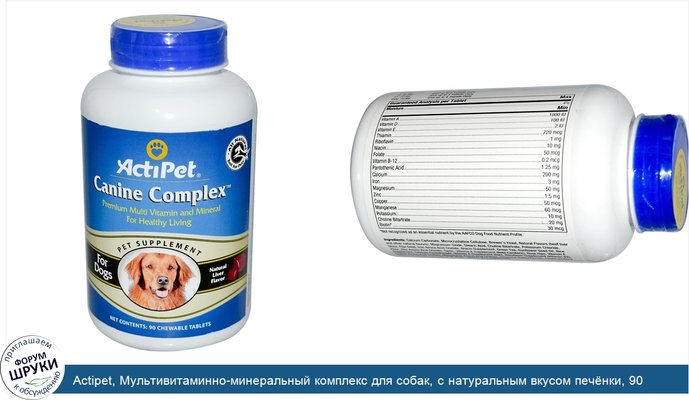 Actipet, Мультивитаминно-минеральный комплекс для собак, с натуральным вкусом печёнки, 90 жевательных таблеток