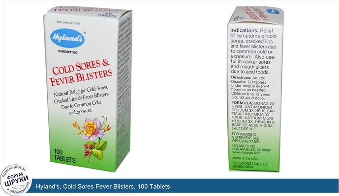 Hyland\'s, Cold Sores Fever Blisters, 100 Tablets