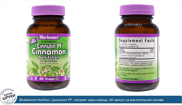 Bluebonnet Nutrition, Циннулин PF, экстракт коры корицы, 60 капсул на растительной основе