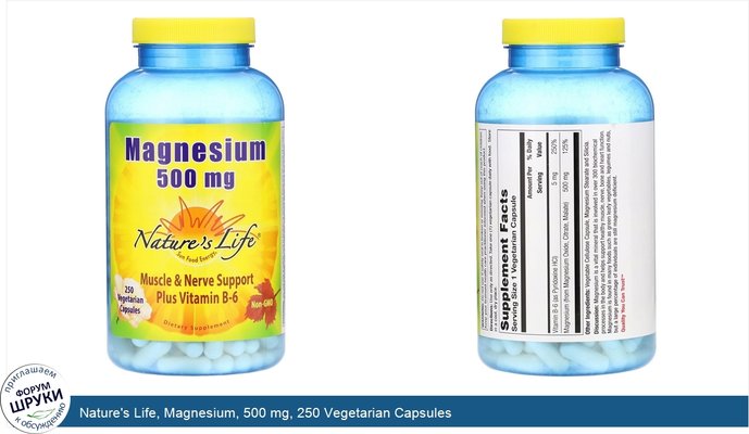 Nature\'s Life, Magnesium, 500 mg, 250 Vegetarian Capsules