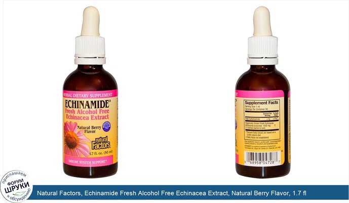 Natural Factors, Echinamide Fresh Alcohol Free Echinacea Extract, Natural Berry Flavor, 1.7 fl oz (50 ml)