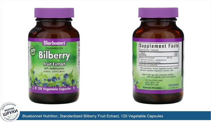 Bluebonnet Nutrition, Standardized Bilberry Fruit Extract, 120 Vegetable Capsules