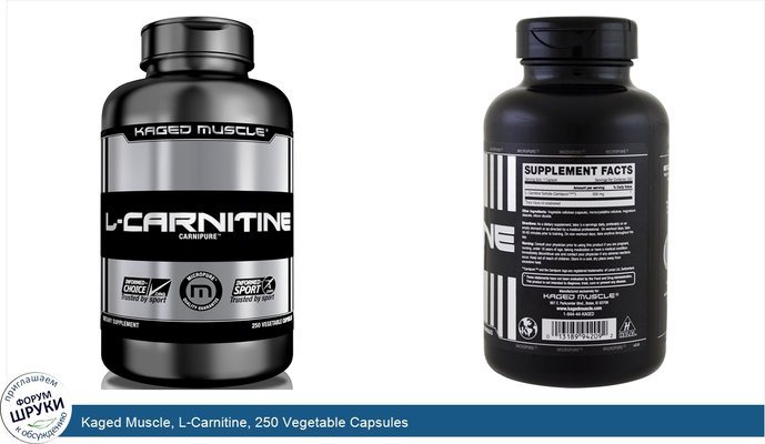 Kaged Muscle, L-Carnitine, 250 Vegetable Capsules