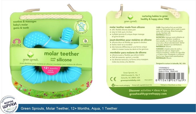 Green Sprouts, Molar Teether, 12+ Months, Aqua, 1 Teether