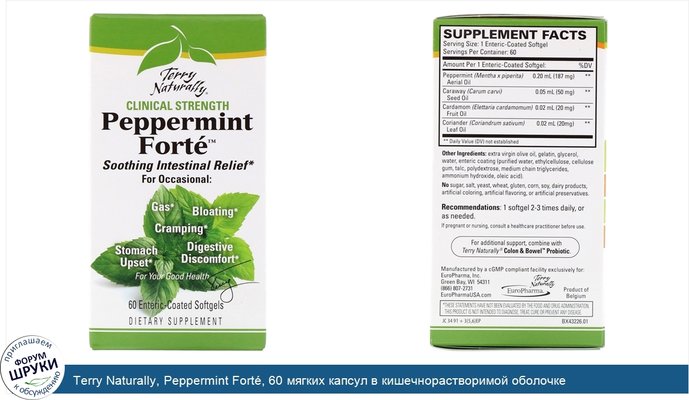 Terry Naturally, Peppermint Forté, 60 мягких капсул в кишечнорастворимой оболочке